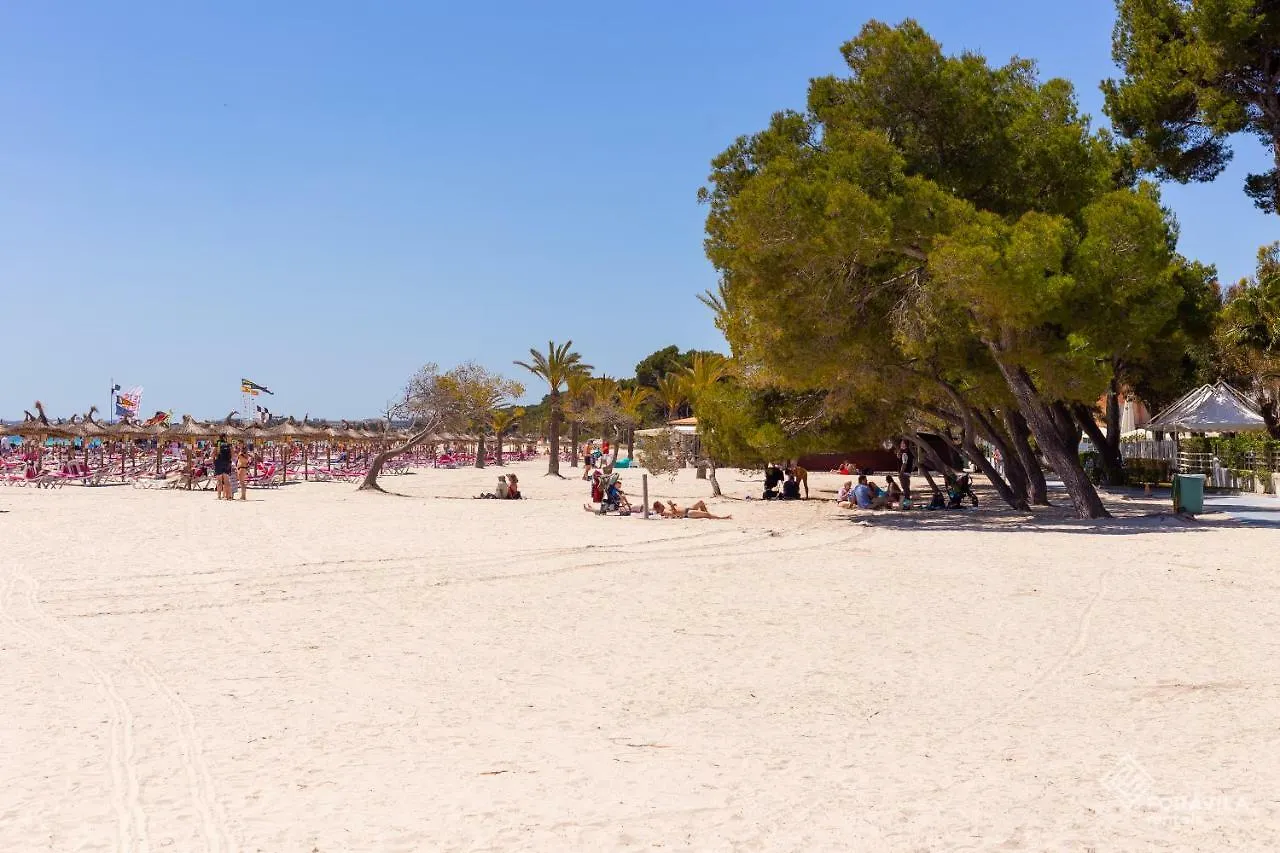 Apartamento Valent Apartment Port de Alcudia  Spain